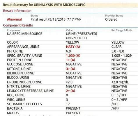 What Normal (and Abnormal) Urine Test Results 